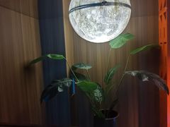 -青水瓦台汤泉(未央店)