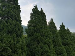 -北京十三陵国家森林公园蟒山景区