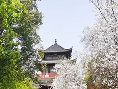 -堤角公园