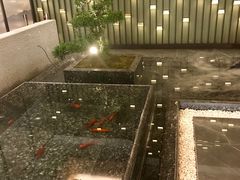 -长嘉·河图火锅(长嘉汇江景旗舰店)