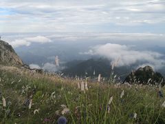 -白草畔自然风景区