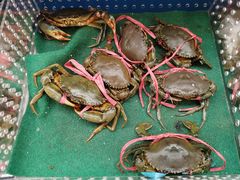 -盒马X会员店(王府井奥莱UP TOWN店)