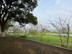 -苏州香山国际大酒店