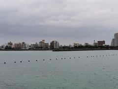 -美国村