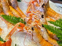 -Mr.Fish鱼鲜生海鲜放题(高德置地冬广场店)