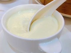 姜汁蛋白炖鲜奶-广州酒家(昌岗地铁站店)