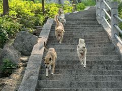 -崂山仰口游览区