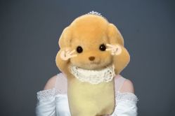 -金夫人婚纱摄影(总店)