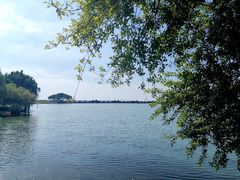 -贡湖湾湿地公园