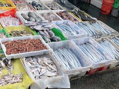 -芦潮港集贸市场