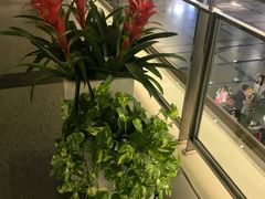 -厦门高崎国际机场-T3航站楼