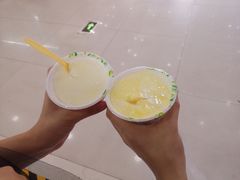 -德禄酸奶(莫家街店)