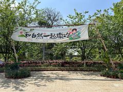 -南山植物园