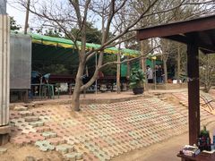 -尚庄度假村·庭台树下·户外烧烤·团建CS·轰趴营地(上庄水库店)