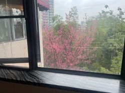 点击看大图 -金芙美月子中心(财富别墅店)