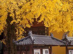 -上海青龙寺