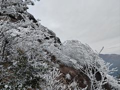 -金子山原生态旅游风景区