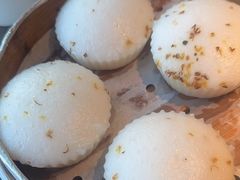 -新白鹿餐厅(虹桥南丰城店)