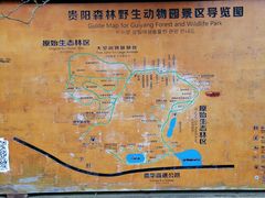 -贵州森林野生动物园