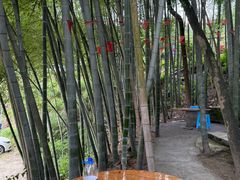 -金水泊山庄·花椒鸡(铁山坪店)