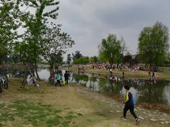 -两河城市森林公园