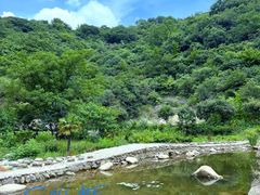 -武汉姚家山旅游景区