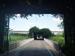 -光明小镇欢乐田园