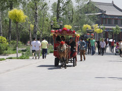 游乐设施-杨柳青庄园
