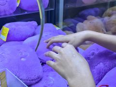 -娃娃集合营(上海闵行天街店)