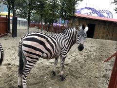 -国色天乡三期陆地乐园