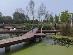 -东郊湿地公园