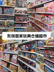 -玩动奇季品牌玩具超市