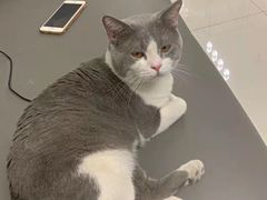 -客栈猫舍(中央北路店)