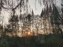 -贵阳市花溪国家城市湿地公园