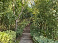 -天目湖涵田度假村