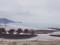 -王记西鎮电烤肉(汶上路店)