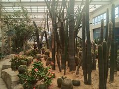 -石家庄市植物园