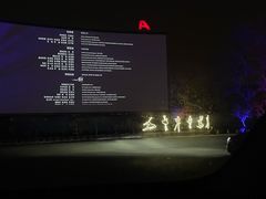 -枫花园汽车电影院(朝阳公园店)