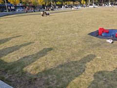 -四川大学(望江校区)
