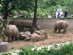-西安秦岭野生动物园