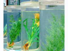 -中国湿地博物馆