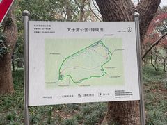 -九曜山