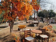 -HERRE·FARM 赫尔露营农场·团建聚会包场