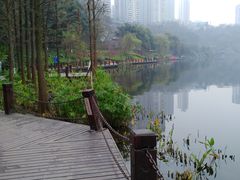 -重庆彩云湖湿地公园