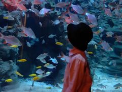 -成都浩海立方海洋公园