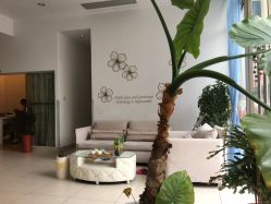-诗媛嘉美健康管理中心(金桥店)