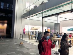 -Apple零售店(成都太古里店)