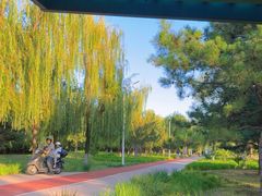 -绿堤公园