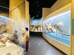 -国家自然博物馆