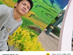 -国色天乡三期陆地乐园